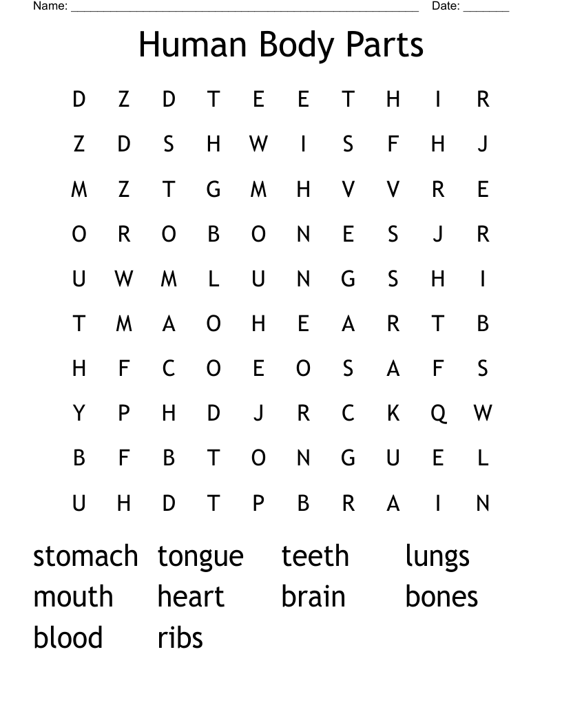 Human Body Parts Word Search