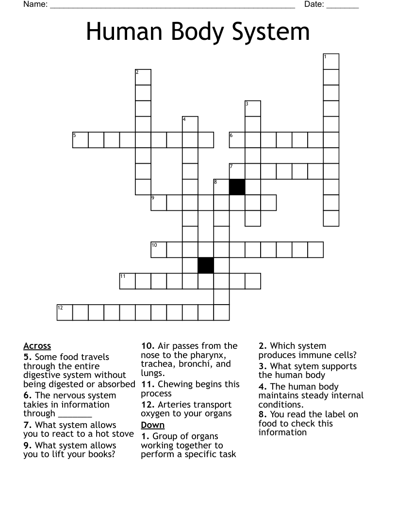 Human Body System Crossword