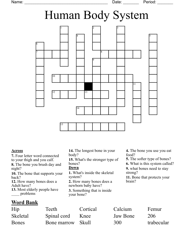 Human Body System  Crossword