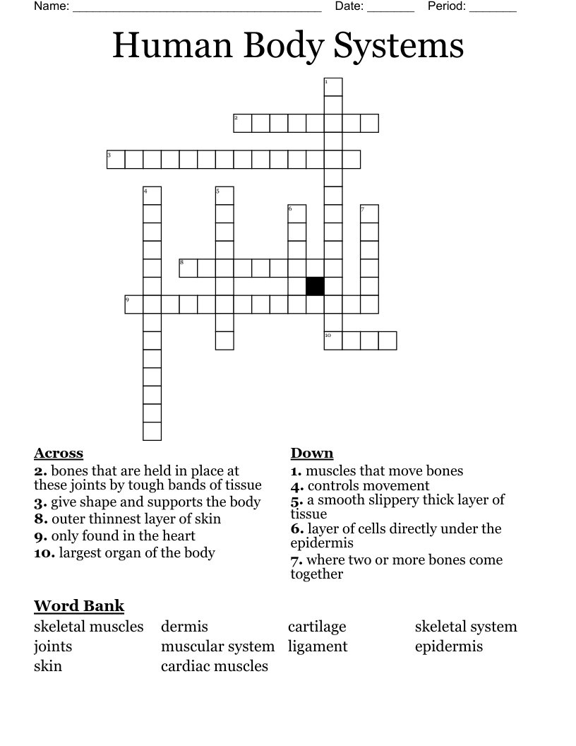 Human Body Systems Crossword