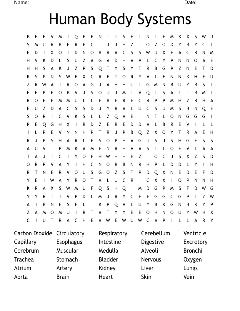 Human Body Systems Word Search