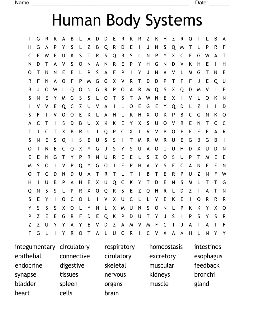 Human Body Systems Word Search