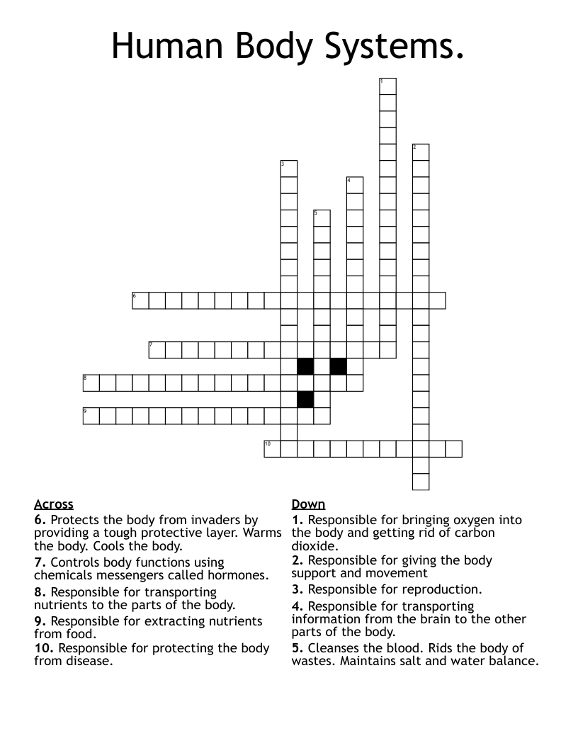 Human Body Systems. Crossword