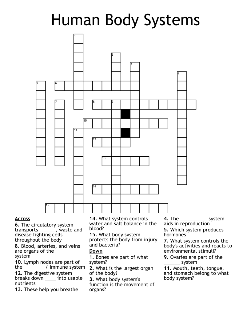 Human Body Systems Crossword