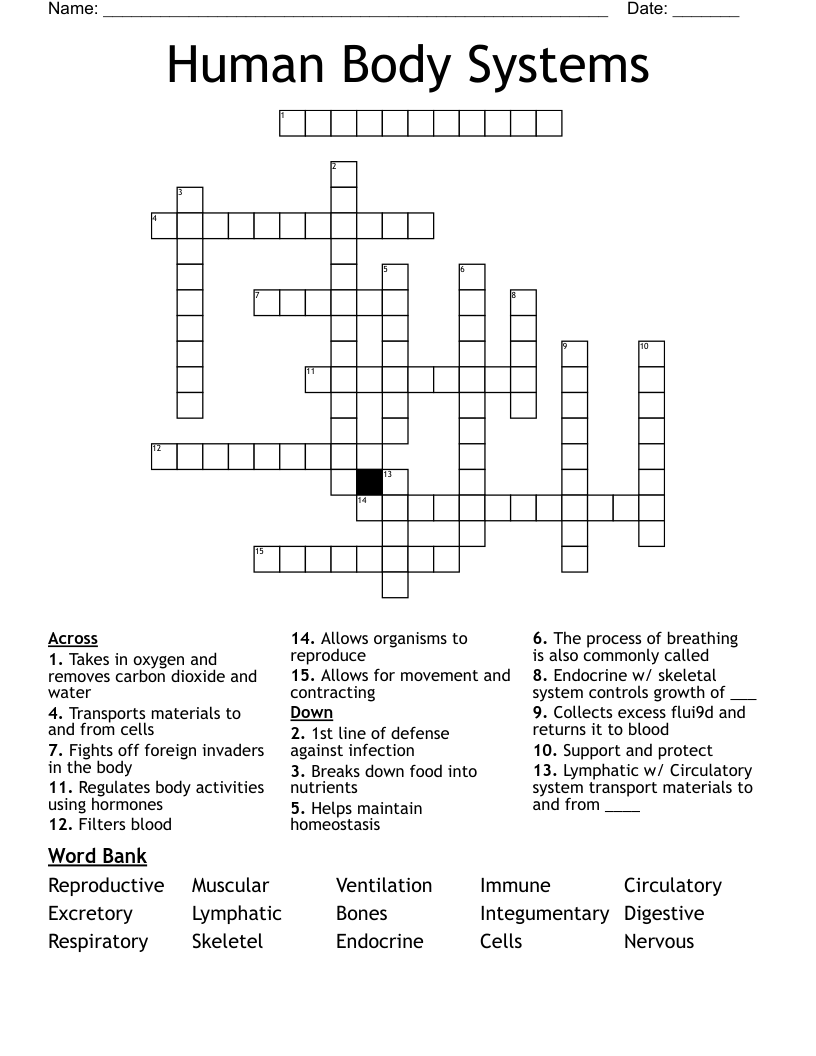 Human Body Systems Crossword