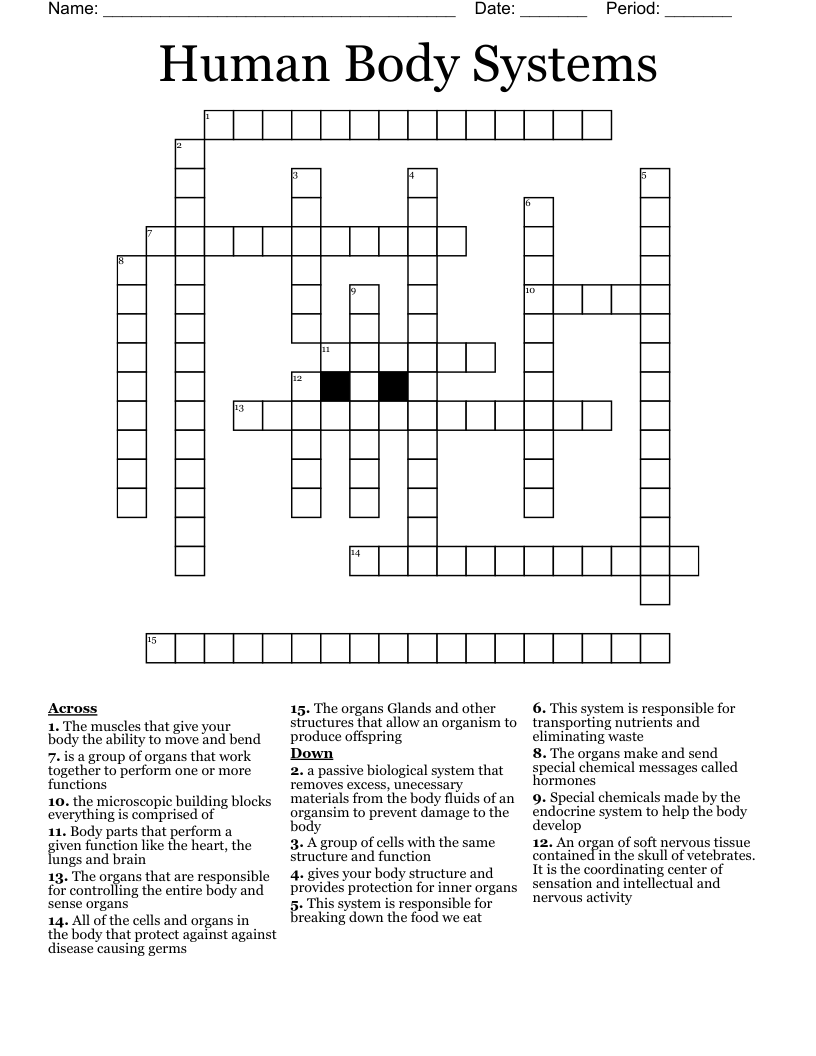 Human Body Systems Crossword