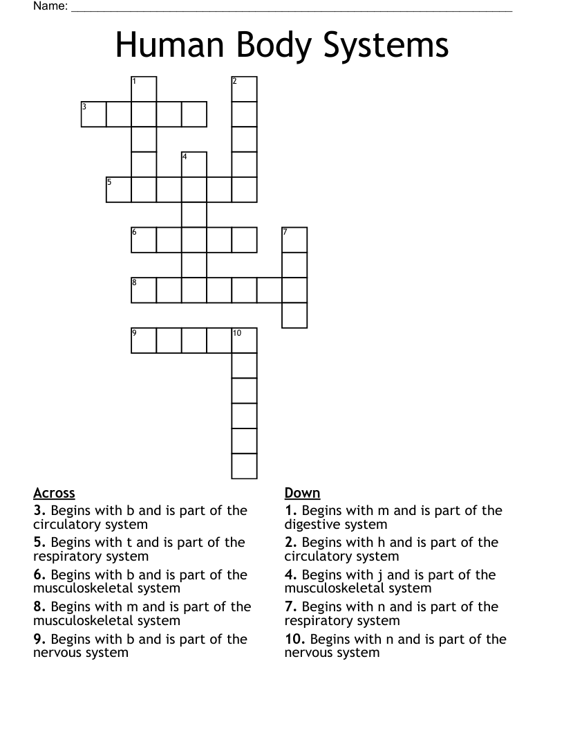 Human Body Systems Crossword