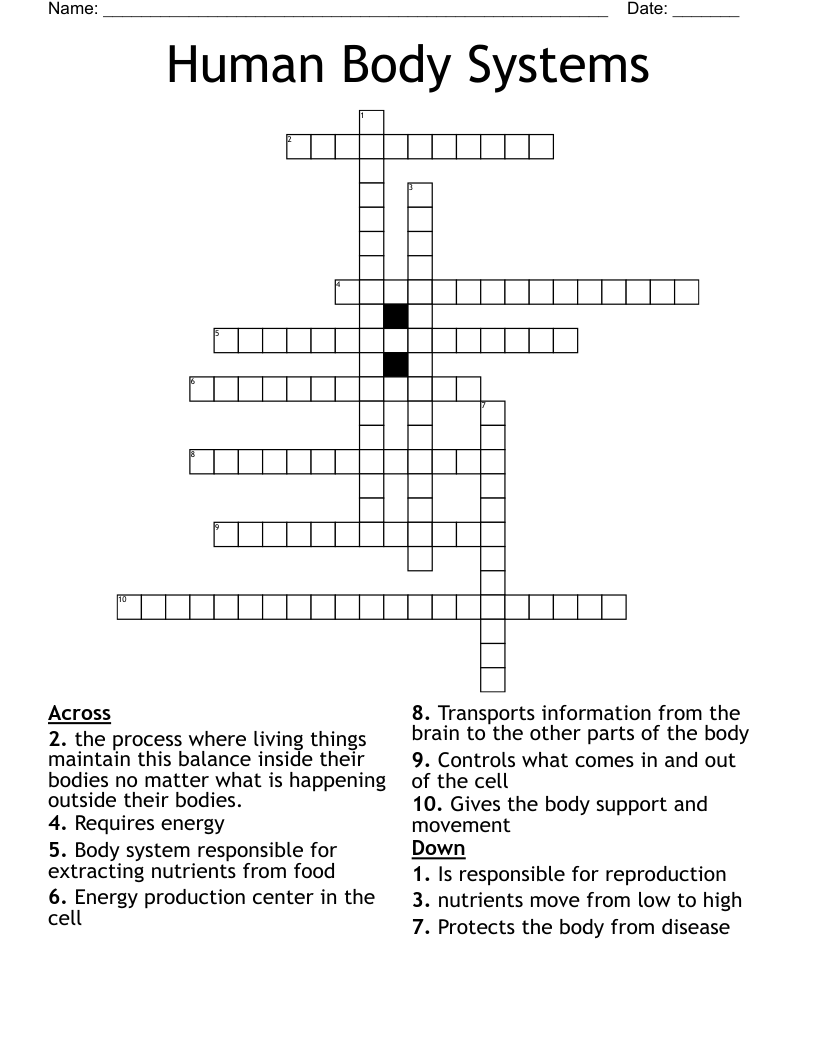 Human Body Systems Crossword