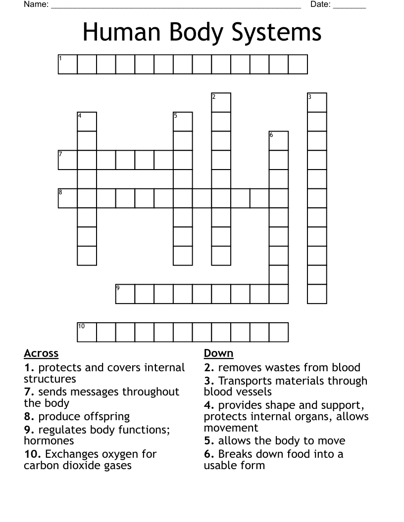Human Body Systems Crossword