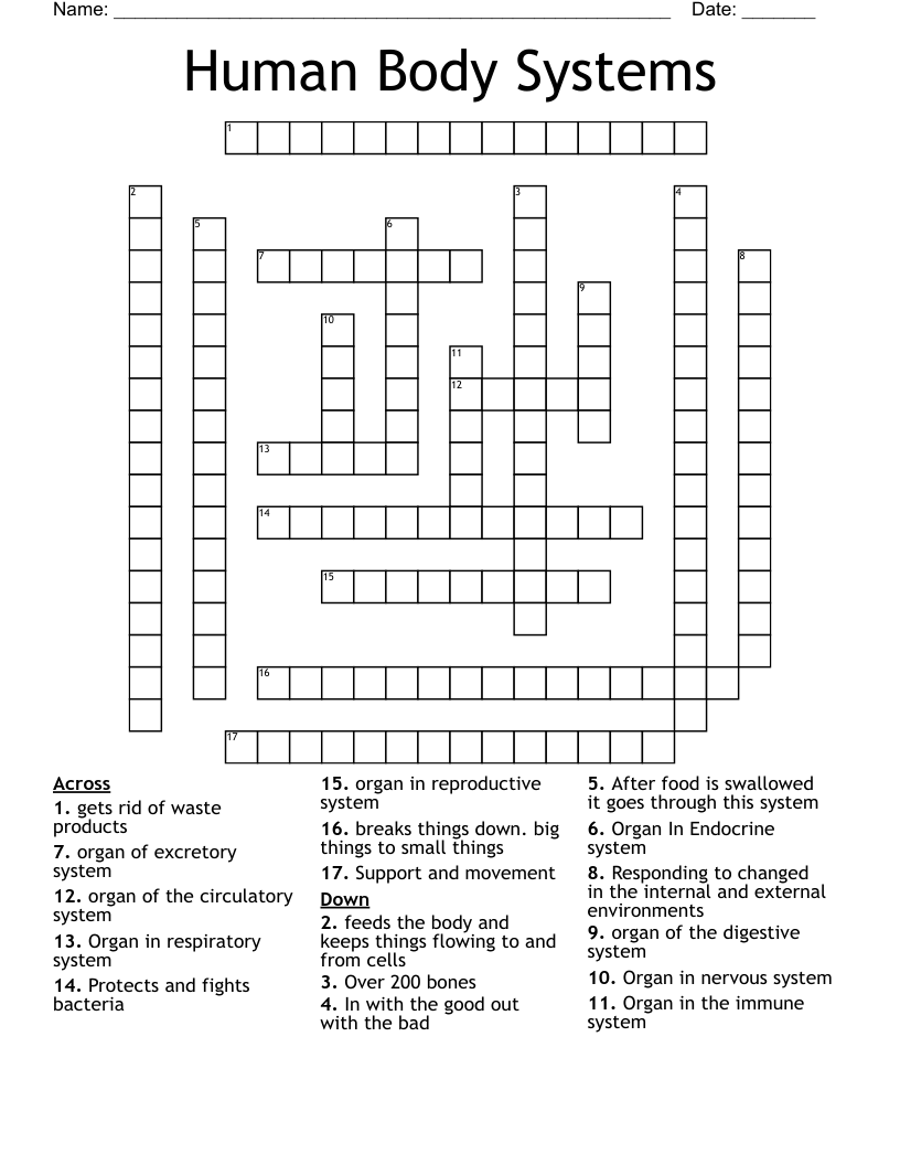 Human Body Systems Crossword
