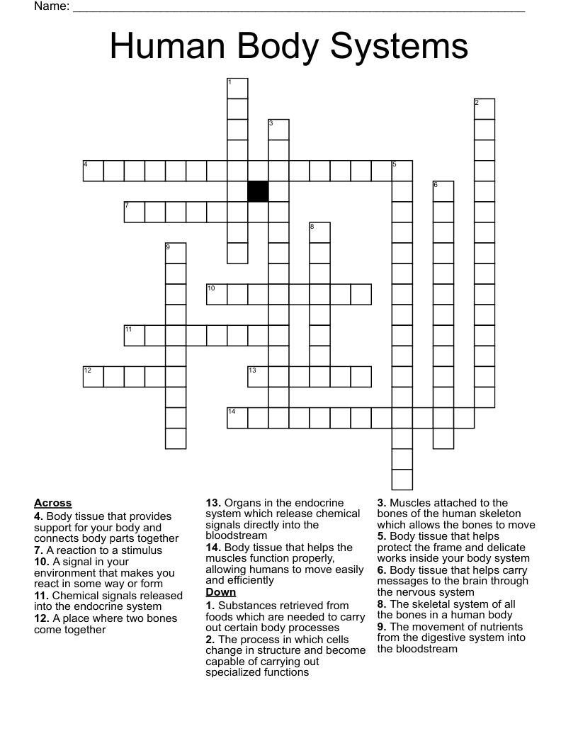 Human Body Systems Crossword