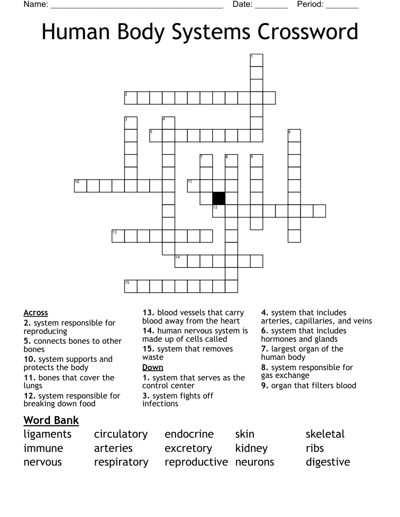 Human Body Systems Crossword