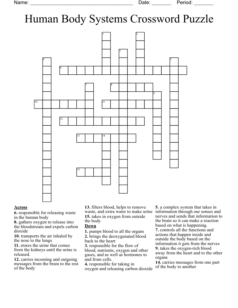 Human Body Systems Crossword Puzzle