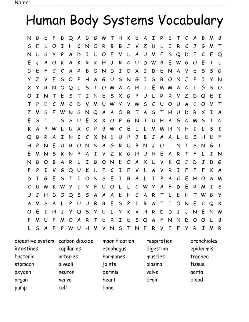Human Body Systems Vocabulary Word Search