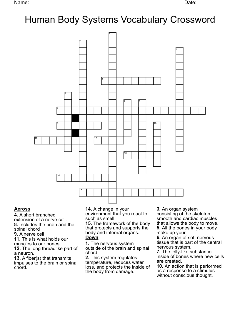 Human Body Systems Vocabulary Crossword