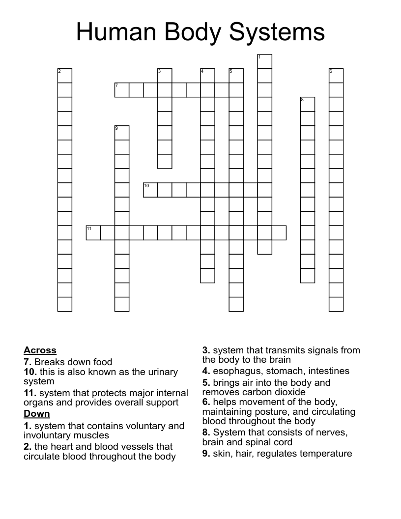 Human Body Systems  Crossword