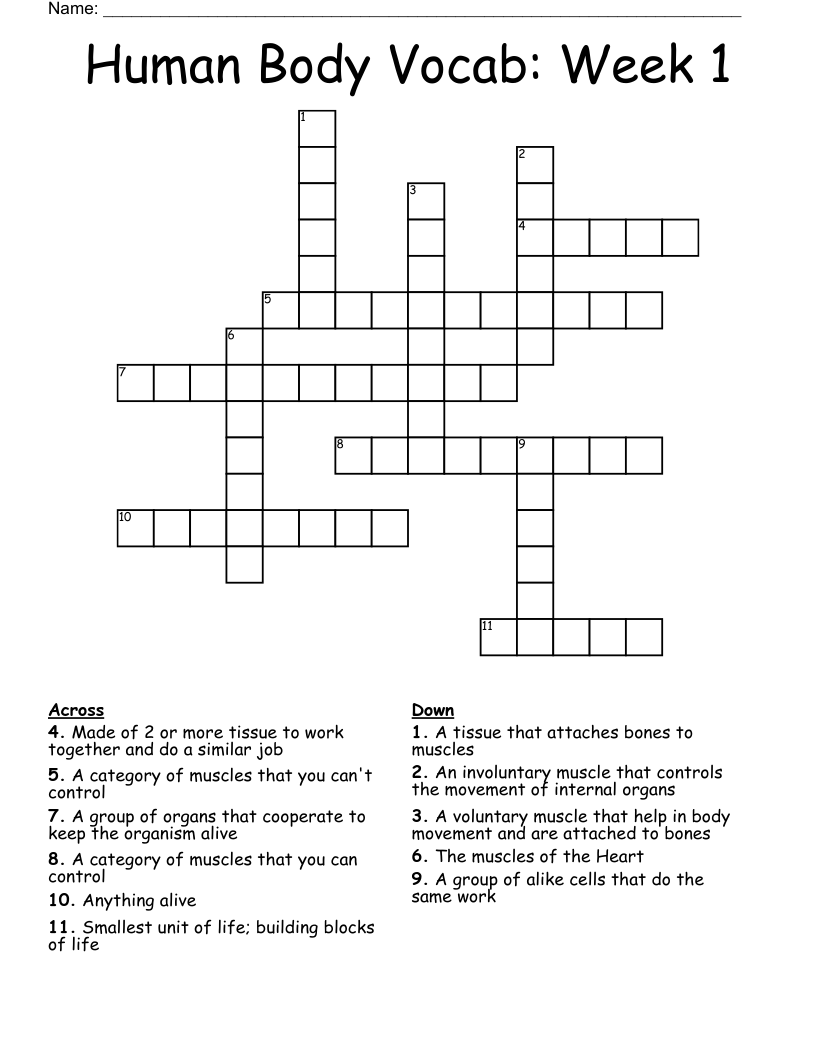 Human Body Vocab: Week 1 Crossword