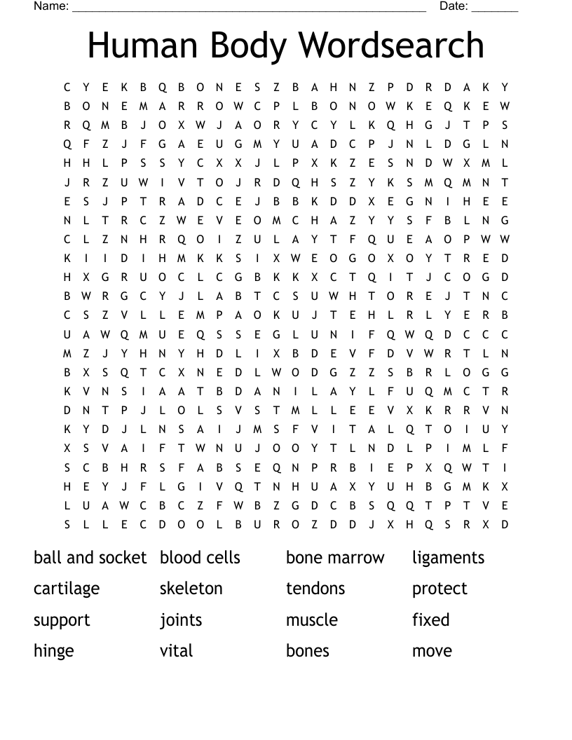 Human Body Wordsearch