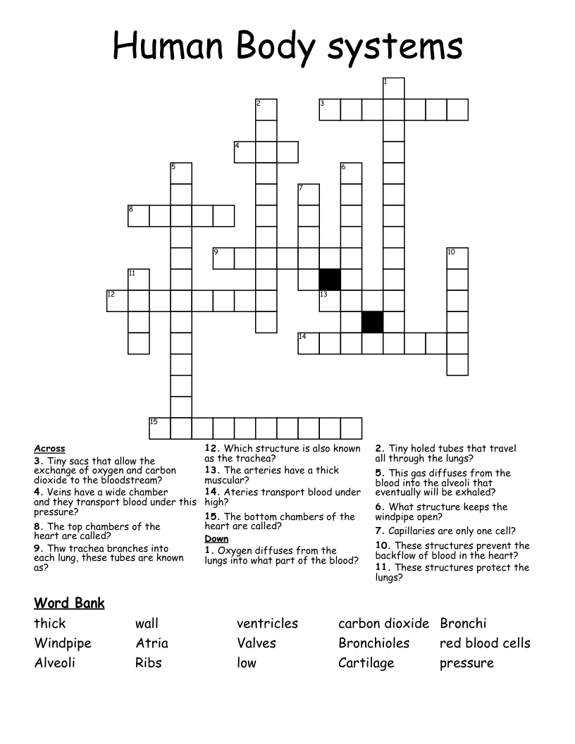 Human Body systems Crossword