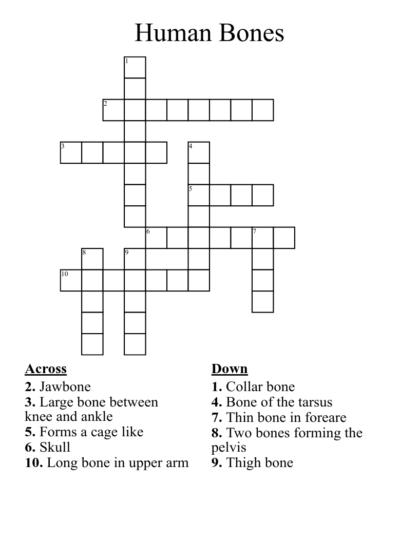 Human Bones Crossword