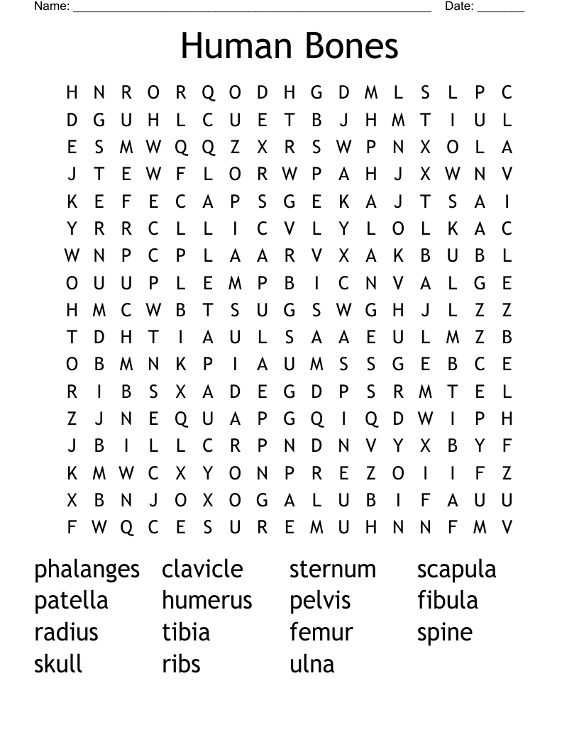 Human Bones Word Search