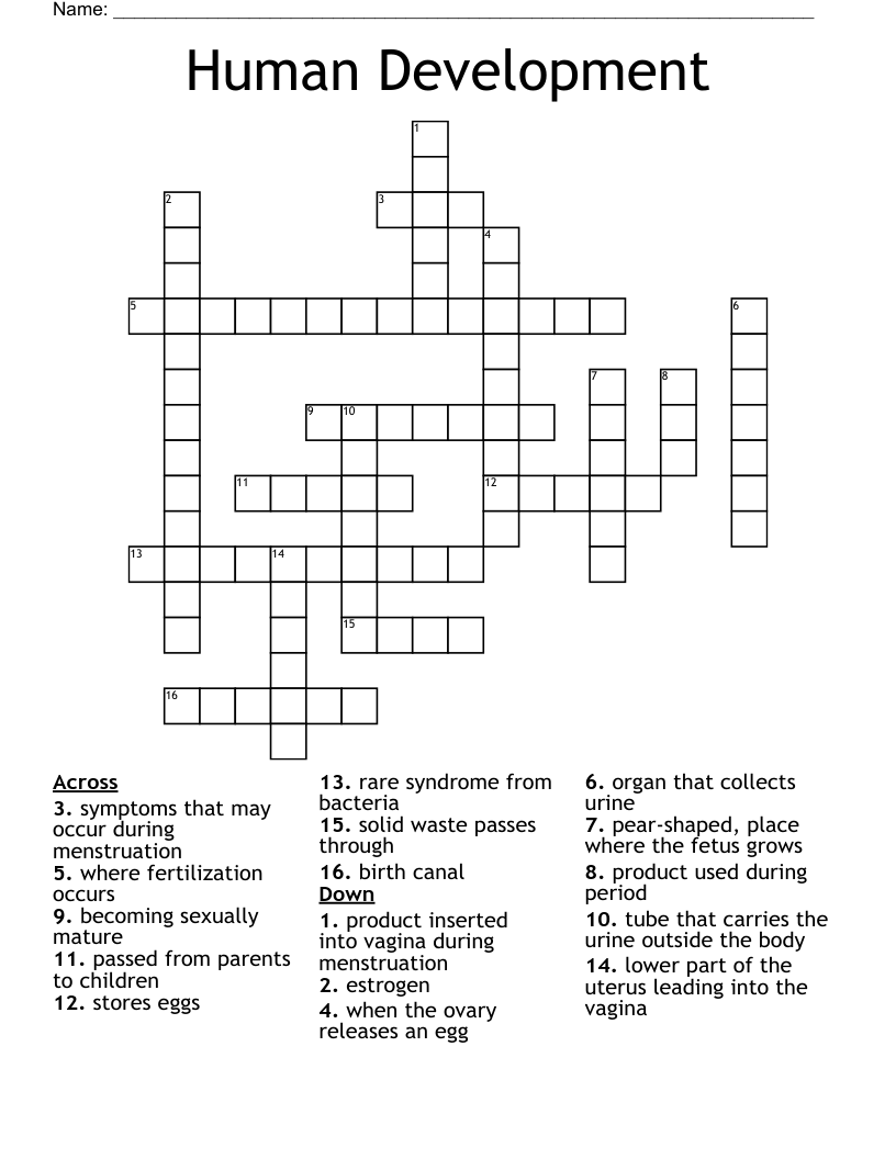 Human Development Crossword