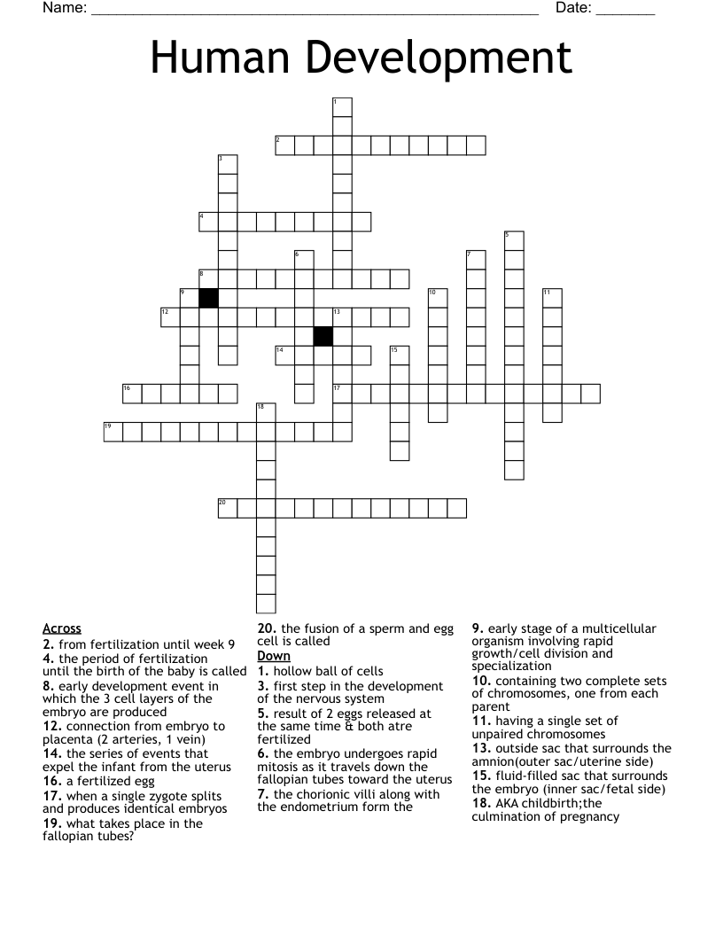 Human Development Crossword
