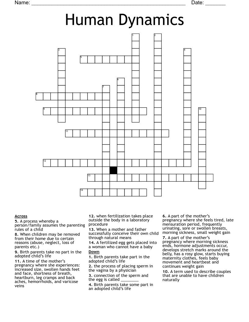 Human Dynamics  Crossword