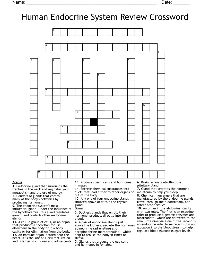 Human Endocrine System Review Crossword
