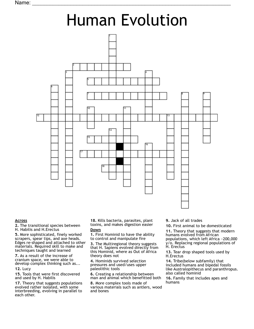 Human Evolution Crossword