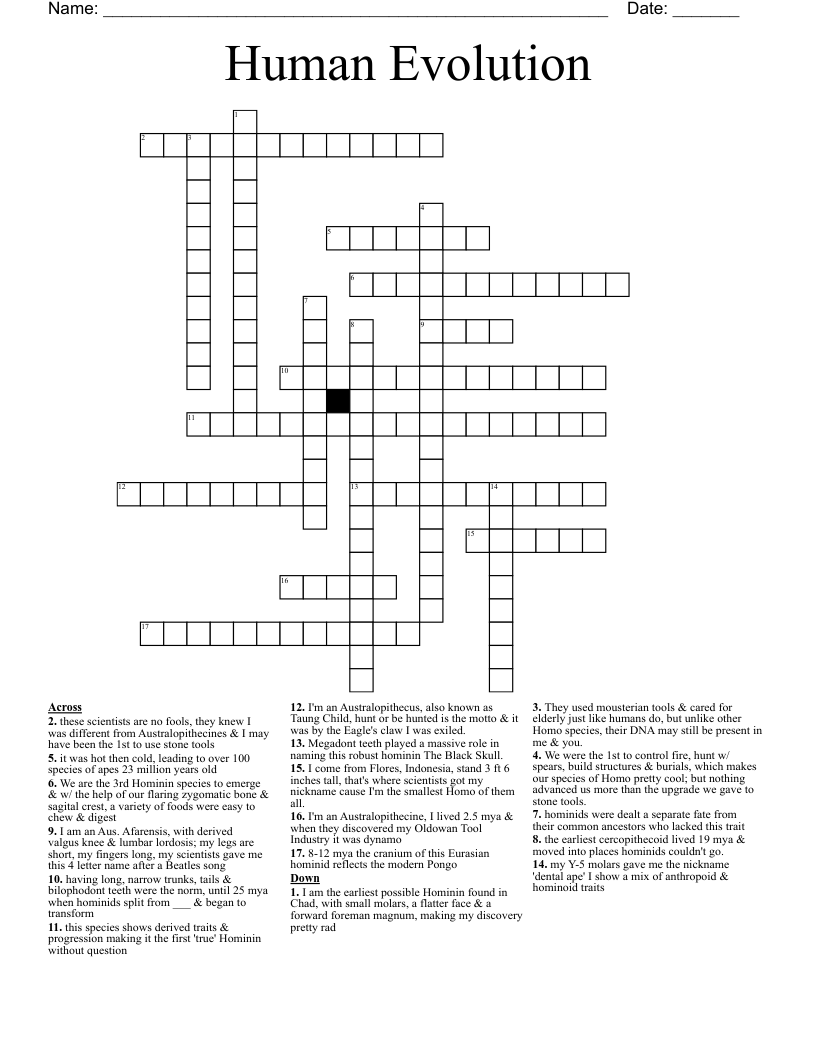Human Evolution  Crossword