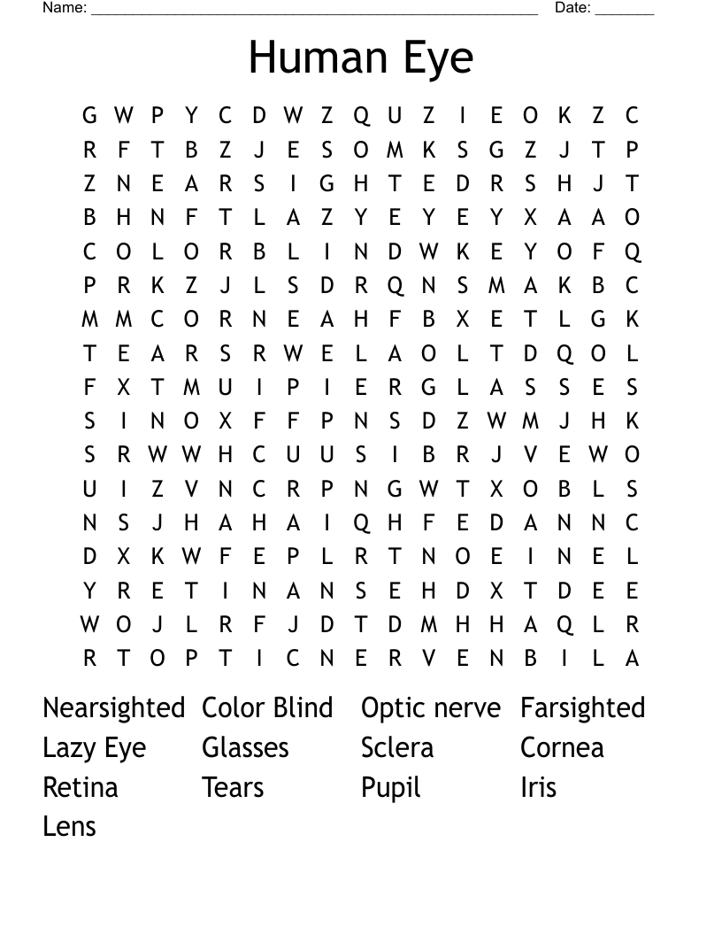 Human Eye Word Search