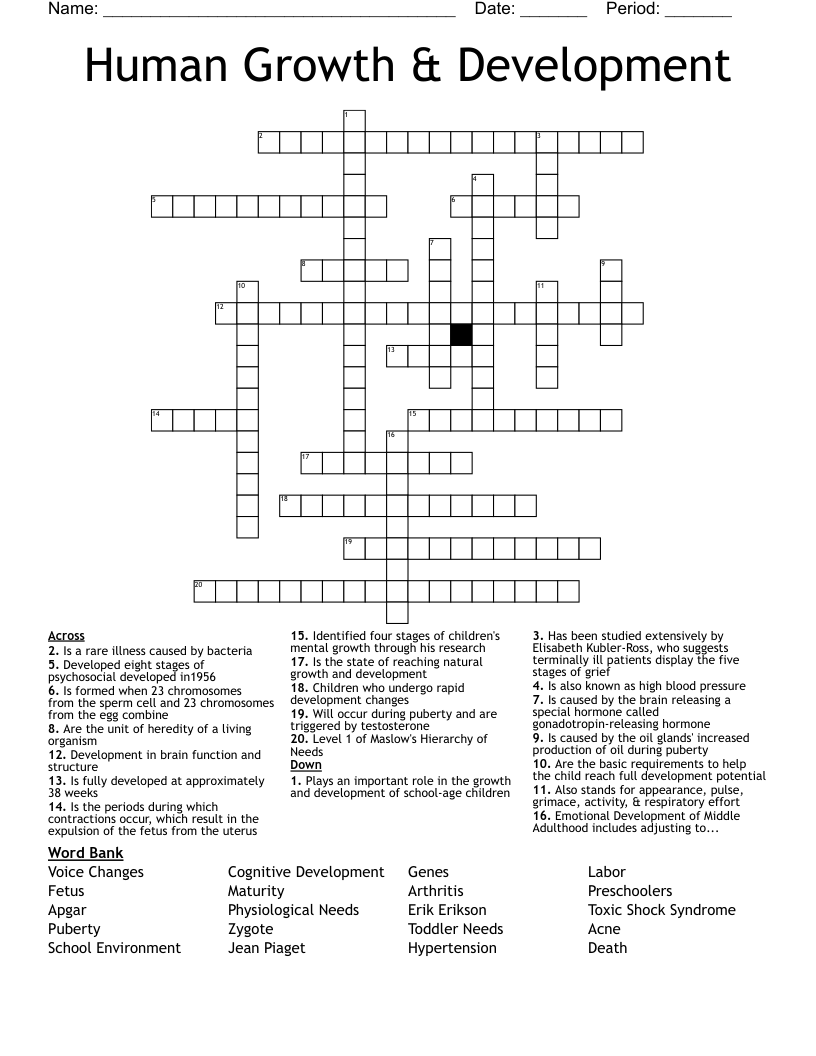 Human Growth & Development Crossword