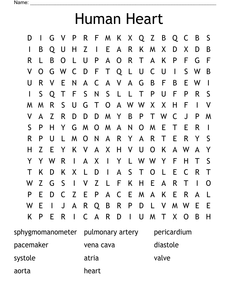 Human Heart Word Search