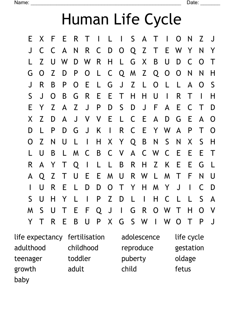 Human Life Cycle Word Search