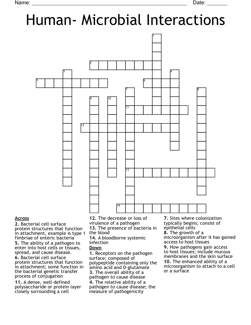 Human- Microbial Interactions Crossword