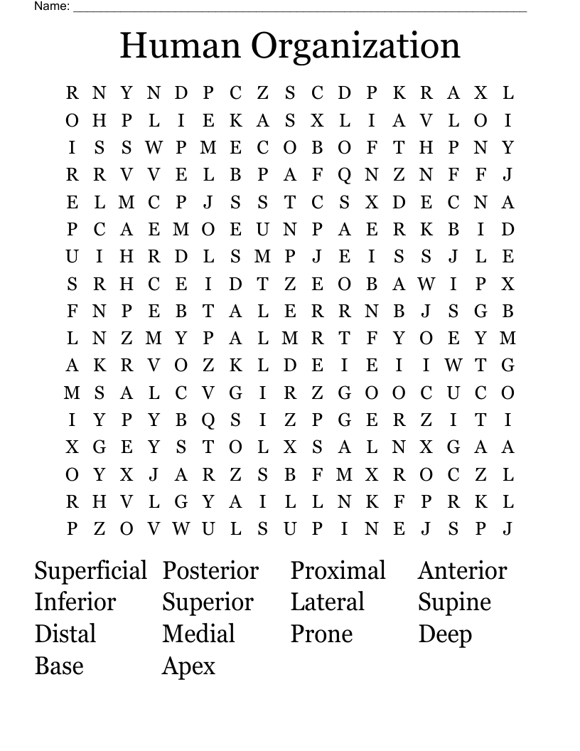 Human Organization Word Search