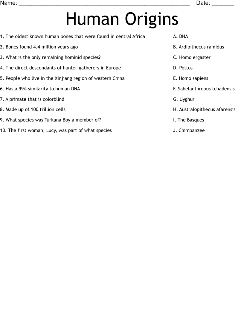 Human Origins Worksheet
