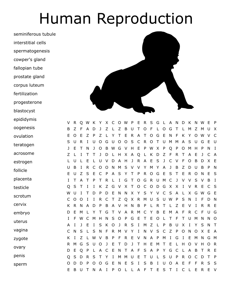 Human Reproduction Word Search