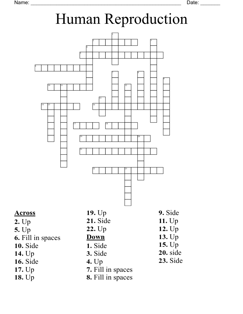 Human Reproduction Crossword
