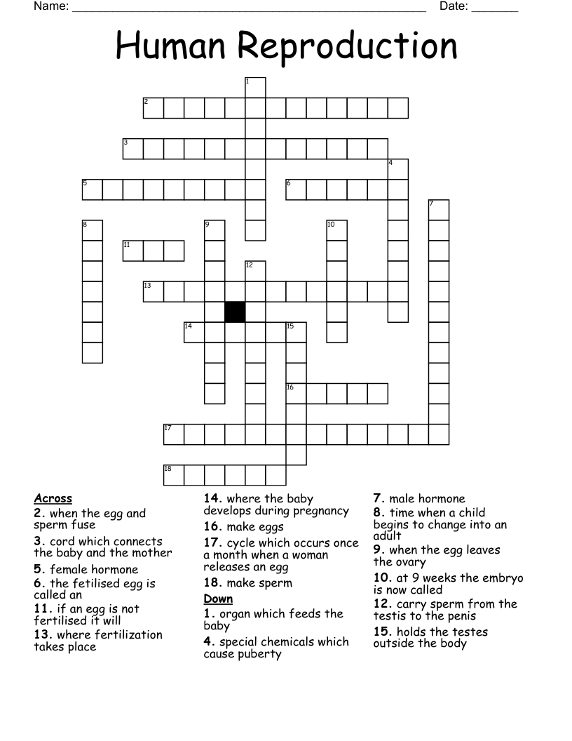 Human Reproduction Crossword