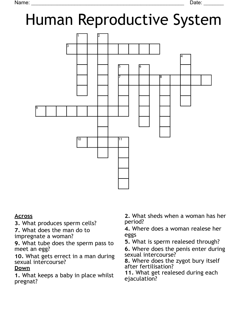 Human Reproductive System Crossword
