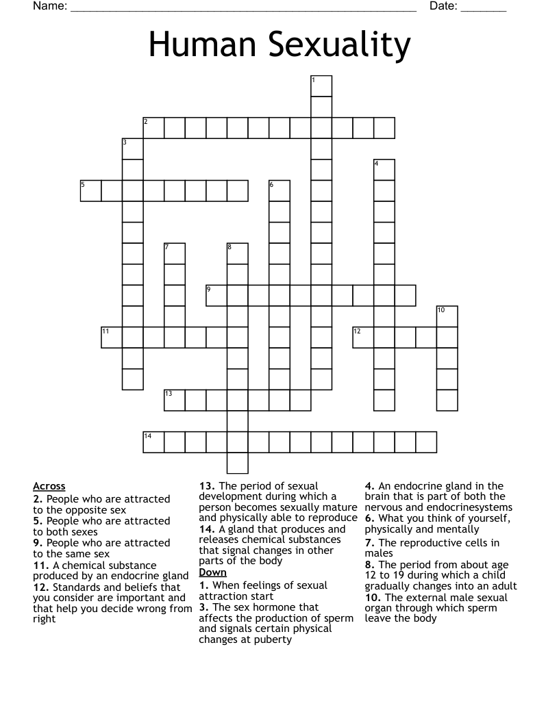 Human Sexuality Crossword