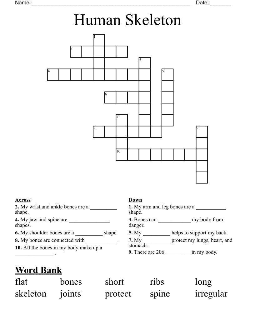 Human Skeleton Crossword