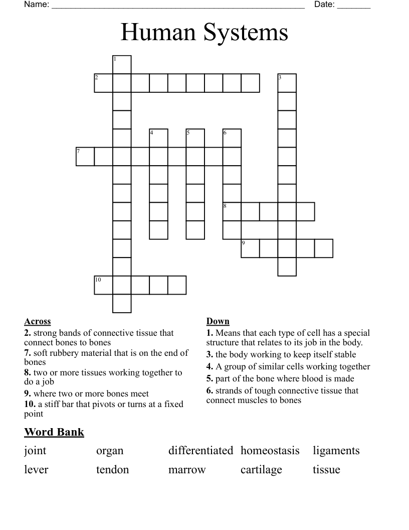 Human Systems Crossword