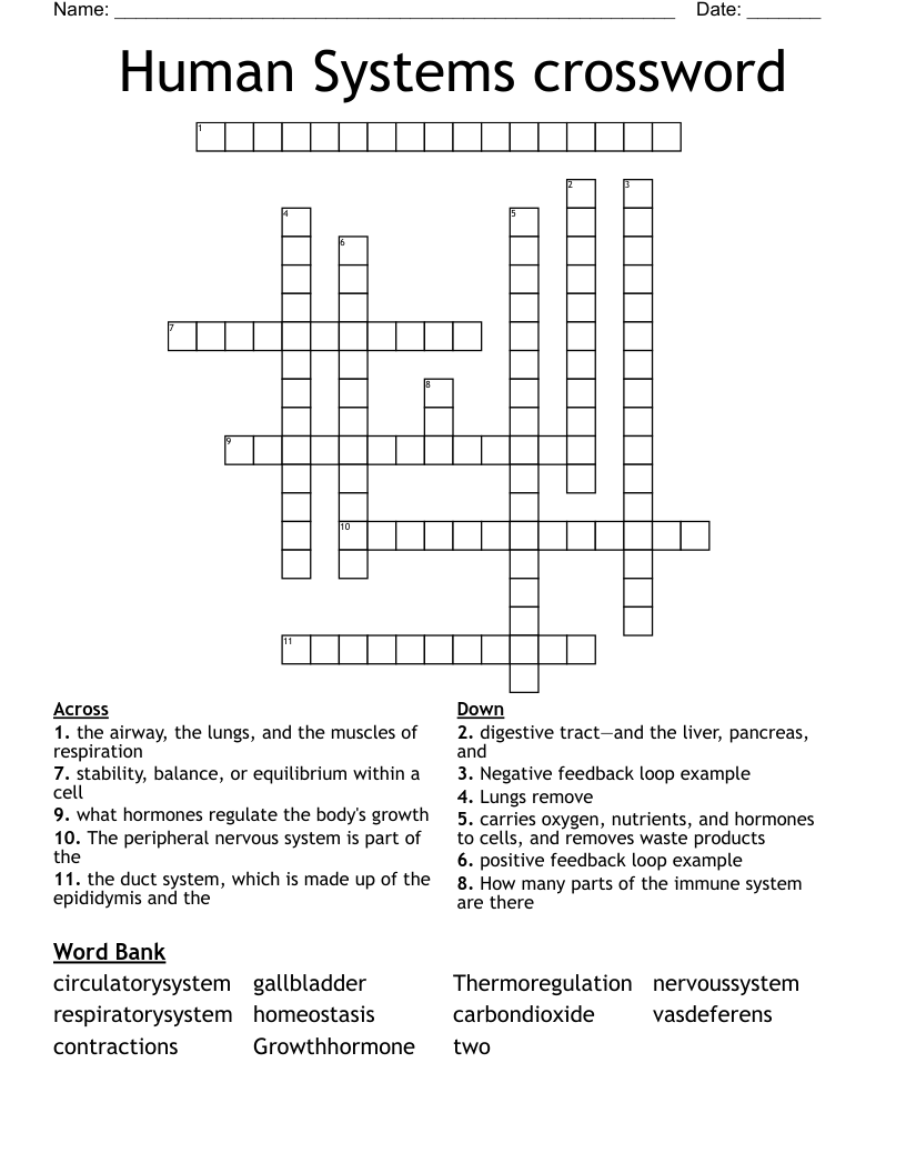 Human Systems crossword