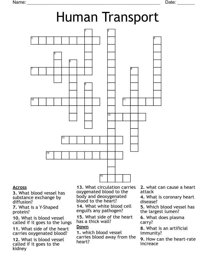 Human Transport Crossword