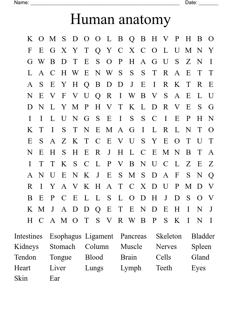 Human anatomy Word Search