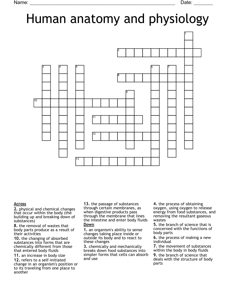 Human anatomy and physiology  Crossword
