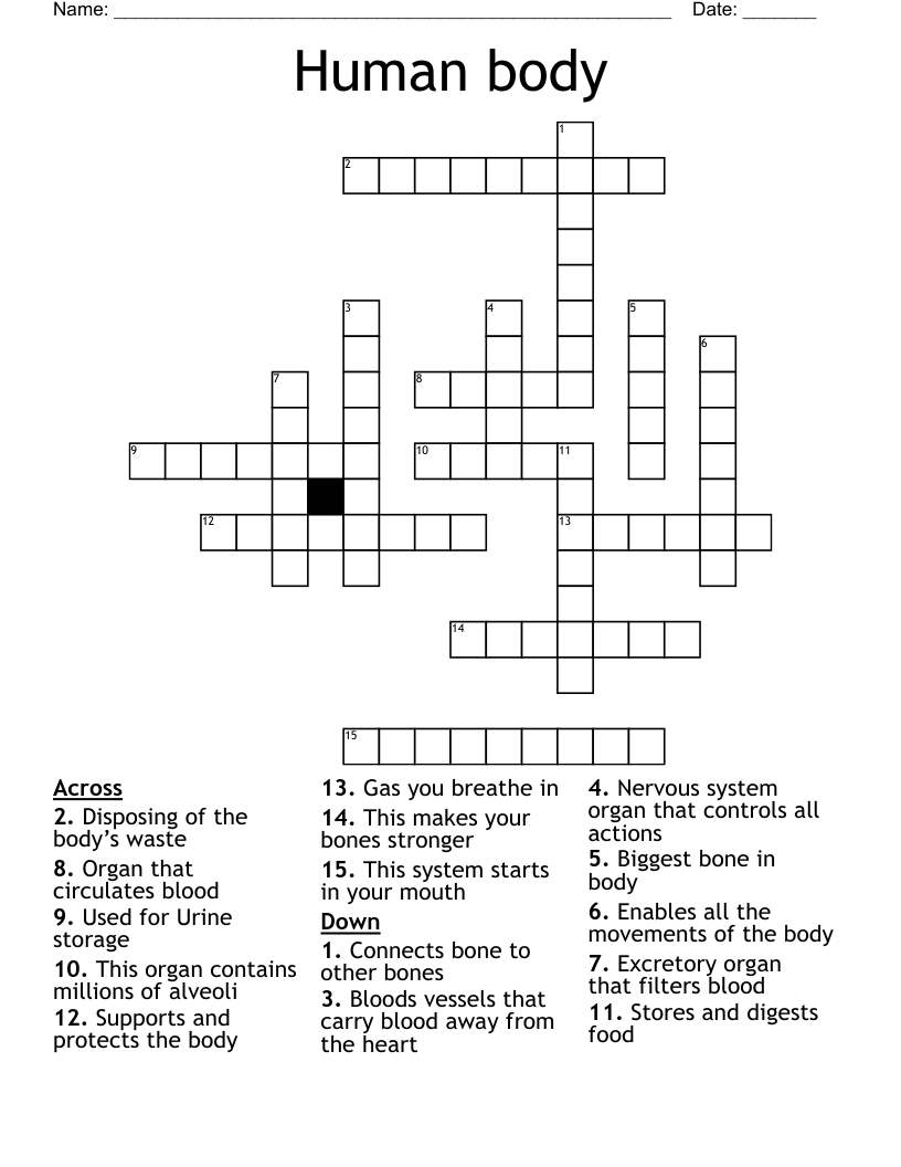 Human body Crossword